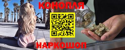 гидра Ставрополь