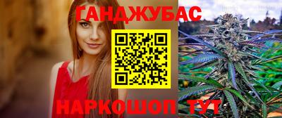 гидра Ставрополь
