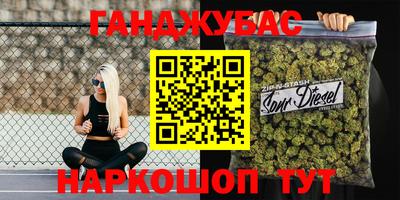 гидра Ставрополь