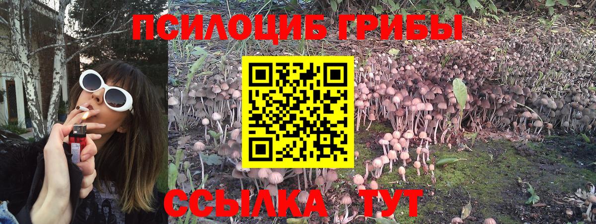 Псилоцибиновые грибы мухоморы  где найти   Вход с VPN  Норильск  Галлюциногенные грибы GOLDEN TEACHER 